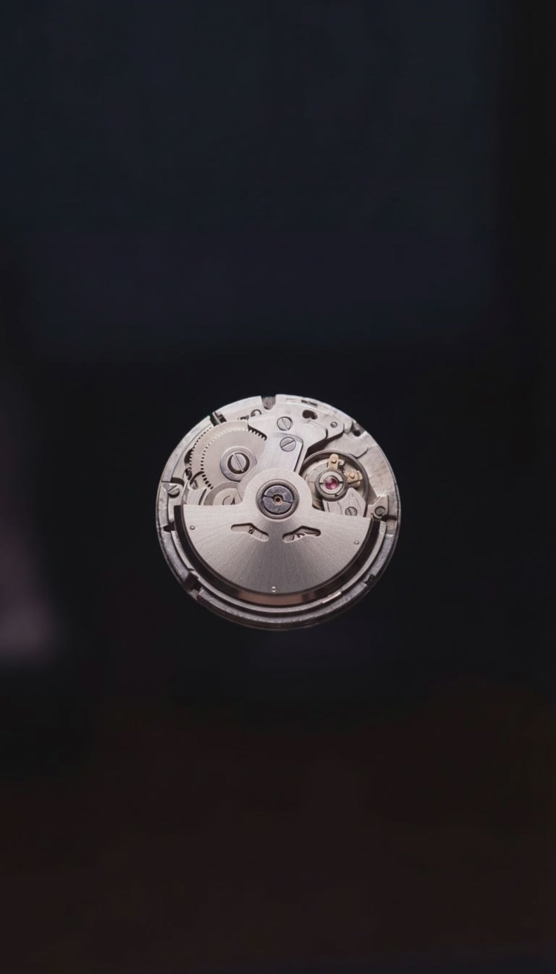 video movement spinning portrait
